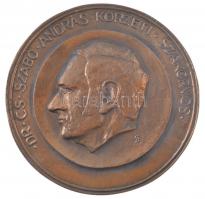 DN Dr. Cs. Szabó András körzeti szakorvos egyoldalas, öntött bronz plakett. Szign.: S (126mm) T:1-