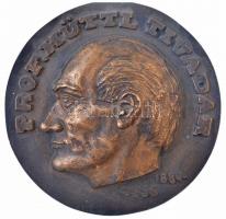 Trischler Ferenc (1945- ) 1992. "Szilárd Donhoffer / Szilárd Donhoffer first professor of Patho...