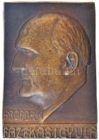 DN Prof. Dr. Fazekas I. Gyula egyoldalas, öntött bronz plakett (141x98mm) T:2
