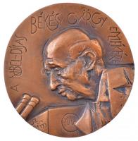 Szolláth György (1927-) 1999. A Nobel-díjas Békésy György emlékére egyoldalas, öntött bronz emlékérem (107mm) T:1-