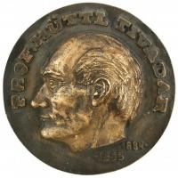 DN "Prof. Hüttl Tivadar 1884-1955" egyoldalas, öntött bronz emlékérem (133mm) T:1-,2