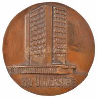 DN Debreceni Orvostudományi Egyetem / Pro Universitate kétoldalas, öntött bronz plakett (104mm) T:1-