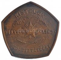 1969. Kistelek fejlesztéséért 1944 - 1969 egyoldalas, öntött bronz plakett (142x141mm) T:2
