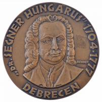 Renner Kálmán (1927-1994) DN Dr. Segner Hungarius 1704-1777 Debrecen / Segner kerék feltalálója bronz emlékérem (116mm) T:1-