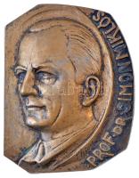 Tápai Antal (1902-1986) DN Prof. Dr. Simon Miklós egyoldalas, öntött bronz plakett (145x112mm) T:1-