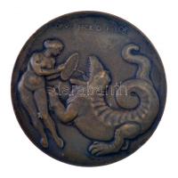 Beck Ötvös Fülöp (1873-1945) 1913. "Doktor báró Babarczi Schwartzer Ottónak 60-dik születésnapj...