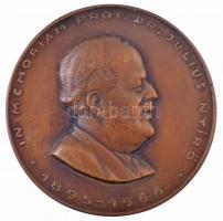 Nyírő Gyula (1924-2005) DN IN MEMORIAM PROF. DR. JULIUS NYÍRŐ 1895 - 1966 egyoldalas, öntött bronz plakett (133mm) T:2
