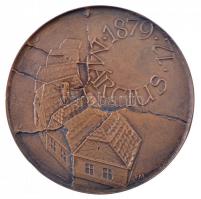 Fritz Mihály (1947-) 1979. A szegedi nagy árvíz századik évfordulója / 1879. március 12. kétoldalas, öntött bronz plakett, eredeti sérült tokban (115mm) T:1