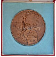 Fritz Mihály (1947-) 1979. "A szegedi nagy árvíz századik évfordulója / 1879. március 12."...