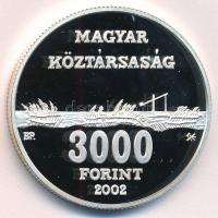 2002. 3000Ft Ag "Hortobágyi Nemzeti Park" kapszulában T:PP
Adamo EM178