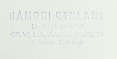 Aczél György (1917-1991) kommunista kultúrpolitikus, minisztert ábrázoló fotó, fotó Hámori Gyuláné, ...