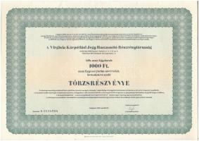 Budapest 1996. A Virginia Kárpótlási Jegy Hasznosító Részvénytársaság törzsrészvénye 1000Ft-ról szelvényekkel, (2x) sorszámkövetők T:I