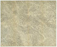 cca 1920 Bártfa és környéke térkép vászonra kasírozva 56x44 cm