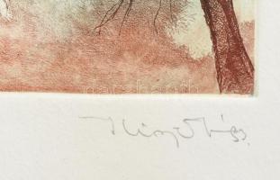 Azonosítatlan jelzéssel: Fák, színes rézkarc, papír, számozott (62./100), fa keretben, 12x9 cm