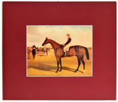 Zsoké és versenylova, nyomat, paszpartuban, 11x14 cm