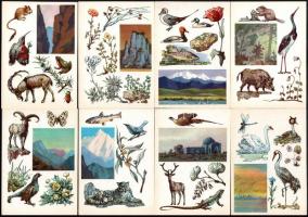 1976. 16 db szovjet ismeretterjesztő kártya, 10,5x15cm