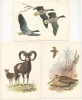 Vadjaink - Képzőművészeti Alap Kiadóvállalat; Grafika: Muray Róbert; 11 db MODERN használatlan vadállatokat ábrázoló grafikai lap tokban / 11 modern unused wild animal graphic postcards, signed by Muray Róbert, in case