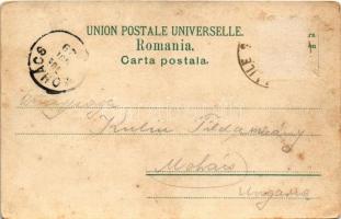 1904 Slanic-Moldova, Szlanikfürdő; Parcu cu pavilionul de musica / park, music pavilion (Rb)