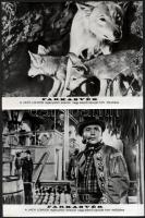 1972 ,,Farkasvér" című szovjet film tizenegy jelenete, 11 db produkciós filmfotó, 18x24 cm