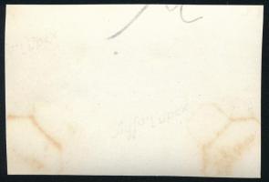 cca 1936 Kinszki Imre (1901-1945) budapesti fotóművész hagyatékából 1 db vintage fotó, jelzés nélkül...