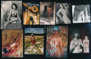 Nézőképek szolidan erotikus hölgyekről, vegyes válogatás különböző időpontokban készült felvételekből, 9 db vintage fotó, 10,2x6,8 cm és 7x5 cm között