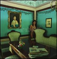 cca 1995 Egy régi kastély úrnőjének unokája hazatért, Menesdorfer Lajos (1941-2005) budapesti fotómű...