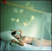 A legszebb és a legnehezebb fotóműfaj az aktfényképezés, Menesdorfer Lajos (1941-2005) budapesti fot...