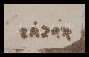 Lázár Sándor (1916-1994): Önarckép sorozat, össz. 18 db mű. Klf. technikák (olaj, tus, ceruza, szén,...