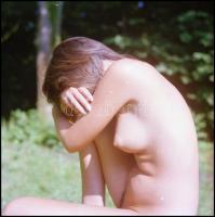 Több fotómodell közreműködésével, eltérő időben és változó helyszíneken készült akt felvételek, Mene...