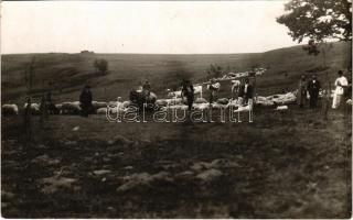 Birkanyáj / Romanian folklore, shepherds with sheep. photo (EK)