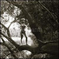 cca 1983 Ágról-ágra, fáról-fára, Menesdorfer Lajos (1941-2005) budapesti fotóművész hagyatékából, 5 ...