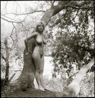 cca 1983 Ágról-ágra, fáról-fára, Menesdorfer Lajos (1941-2005) budapesti fotóművész hagyatékából, 5 ...