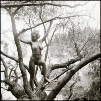 cca 1983 Ágról-ágra, fáról-fára, Menesdorfer Lajos (1941-2005) budapesti fotóművész hagyatékából, 5 ...