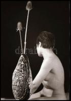 Több fotós hagyatékából válogatott akt felvételek, amelyek eltérő időpontokban készültek, 13 db vint...