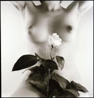 Különböző időpontok, különböző helyszínek, különböző modellek, csak a műfaj közös: akt felvételek; é...