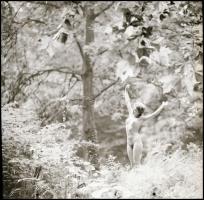 Különböző időpontok, különböző helyszínek, különböző modellek, csak a műfaj közös: akt felvételek; é...