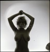 Eltérő időben és változó helyszíneken, több fotómodell közreműködésével készült akt felvételek, Mene...