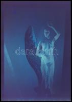 Czakó László (?-?) pécsi fotóművész hagyatékából 13 db vintage DIAPOZITÍV az aktfényképezés műfajábó...