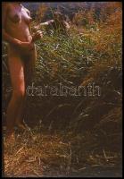 Czakó László (?-?) pécsi fotóművész hagyatékából 13 db vintage DIAPOZITÍV az aktfényképezés műfajábó...