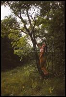 Czakó László (?-?) pécsi fotóművész hagyatékából 13 db vintage DIAPOZITÍV az aktfényképezés műfajábó...