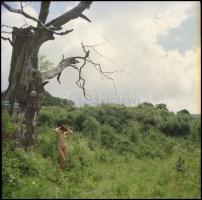 Menesdorfer Lajos (1941-2005) budapesti fotóművész hagyatékából, 21 db vintage NEGATÍV sokféle témár...