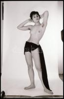 cca 1973 Vasárnapi matiné helyett a szomszédné, szolidan erotikus felvételek egy aktfotós életművébő...