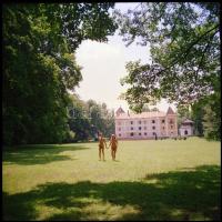 A nők közelről és távolról, tanulmányok az aktfényképezés területéről, eltérő időben és változó hely...