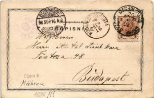 1896 (Vorläufer!) Macocha, Sloup, Sosuvka / gorge. Art Nouveau, floral (EB)