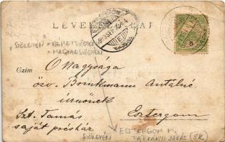 1903 Szőgyén, Szölgyén, Svodín, Seldin; hölgyek / ladies. photo (EB)