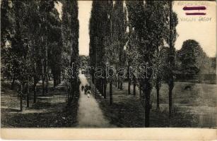 1912 Érsekújvár, Nové Zámky; Vasúti fasor / road to the railway station (EK)