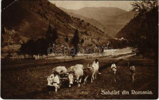 1914 Salutari din Romania / Szántás ökrökkel Romániában / Romanian folklore, ploughing with oxen (EK)