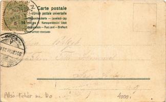 1905 Vízakna, Salzburg, Ocna Sibiului; Sós gyógyfürdő. Takáts Jenő kiadása. Szecessziós litho keret ...