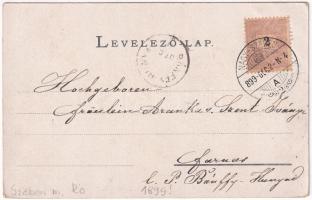 1899 Nagyszeben, Hermannstadt, Sibiu; látkép. Verlag der Buchhandlung G.A. Seraphin / general view (...