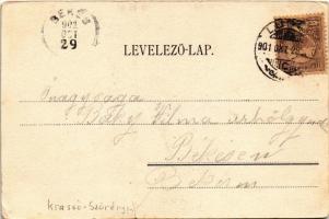 1901 Lugos, Lugoj; Főgimnázium és színház. Weisz és Sziklai kiadása / Obergymnasium u. Theater / gra...